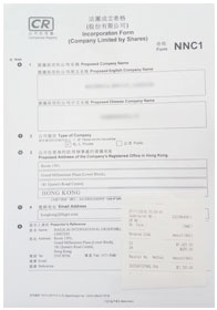 法團(tuán)成立表格